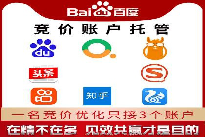 竞价托管与SEO结合的案例分析
